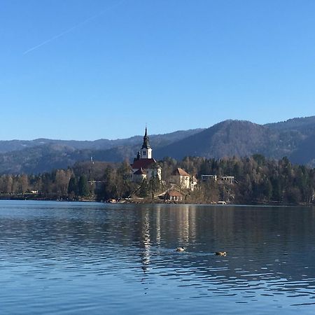 Vila Cerne Bled Bagian luar foto
