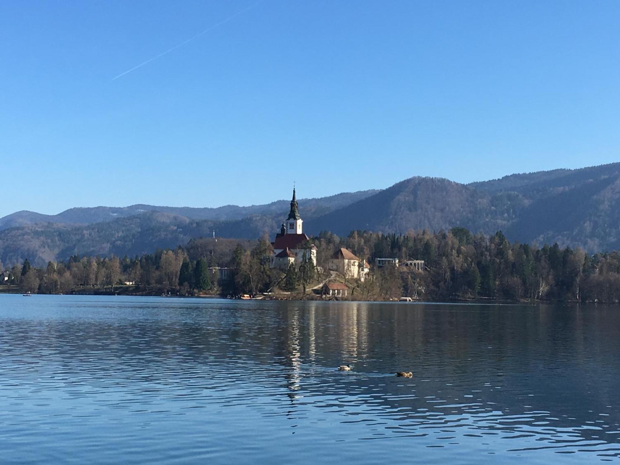 Vila Cerne Bled Bagian luar foto