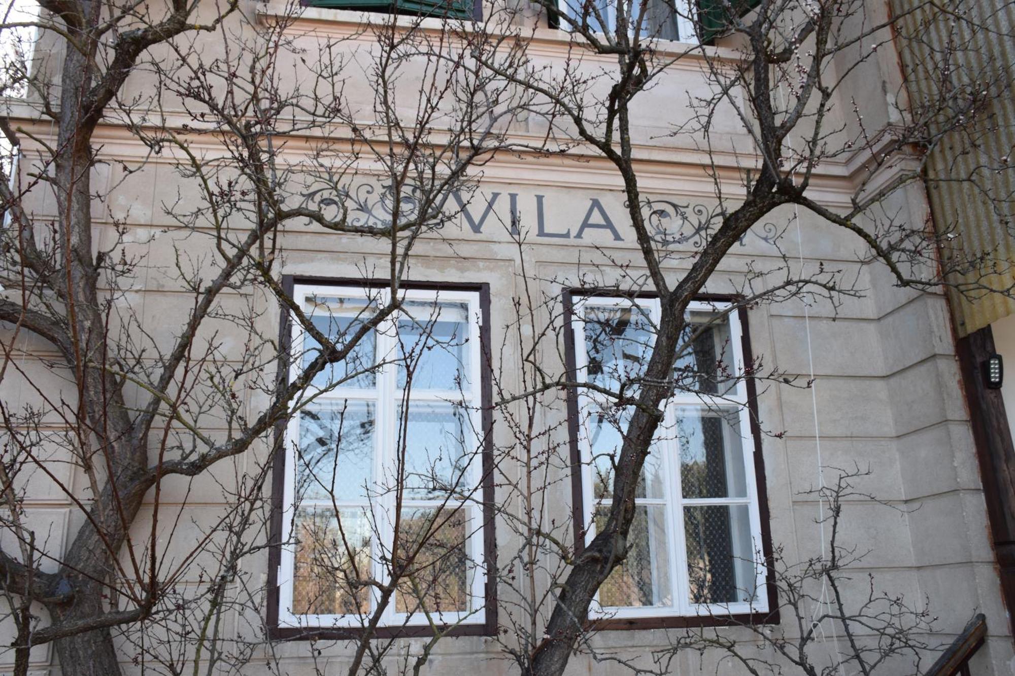 Vila Cerne Bled Bagian luar foto