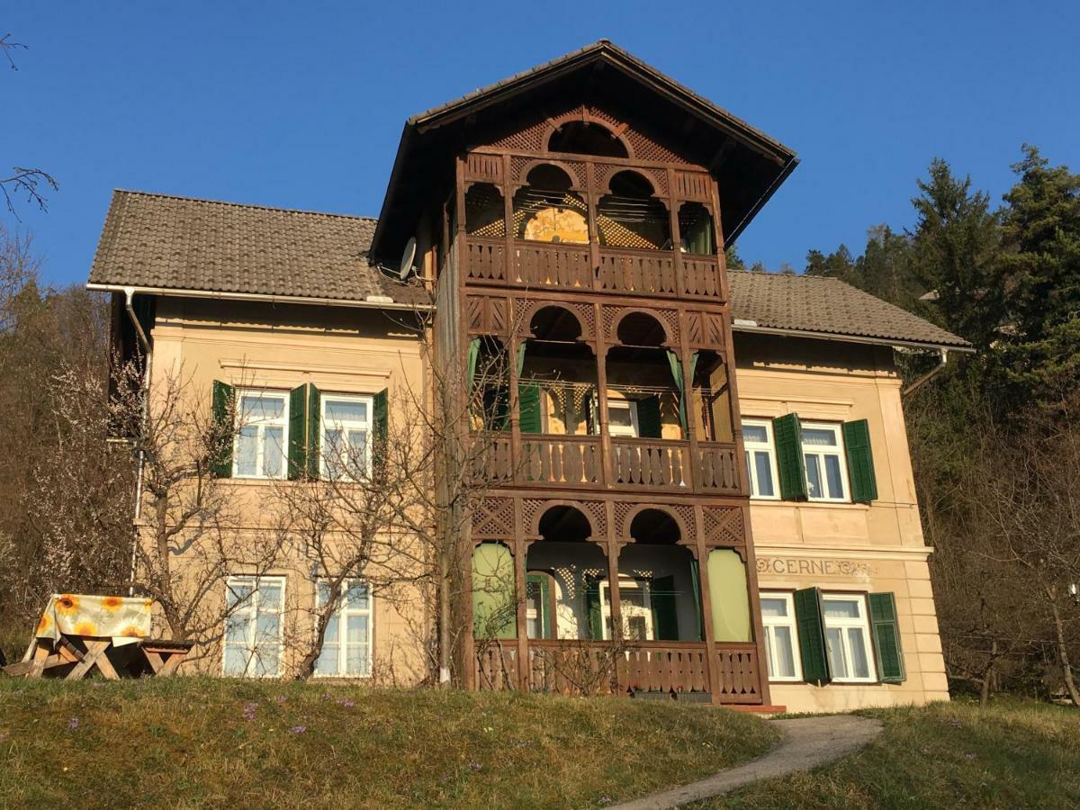 Vila Cerne Bled Bagian luar foto