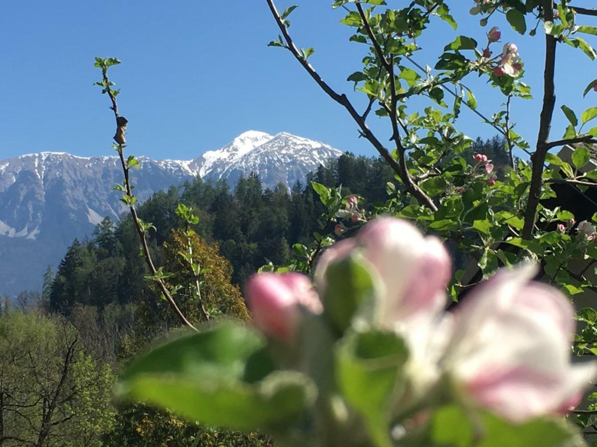 Vila Cerne Bled Bagian luar foto